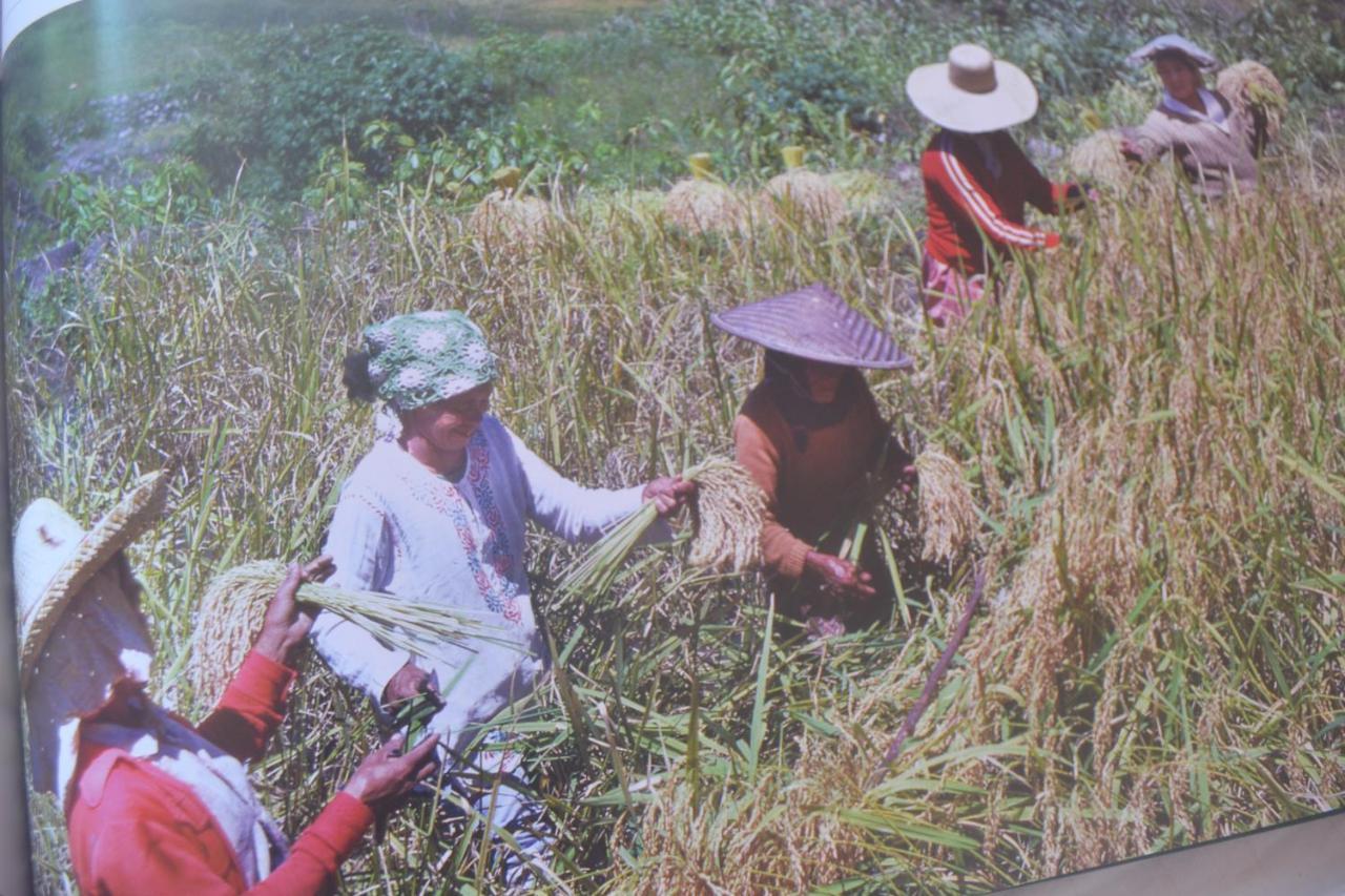 Banaue Evergreen Hostel And Restaurant 외부 사진