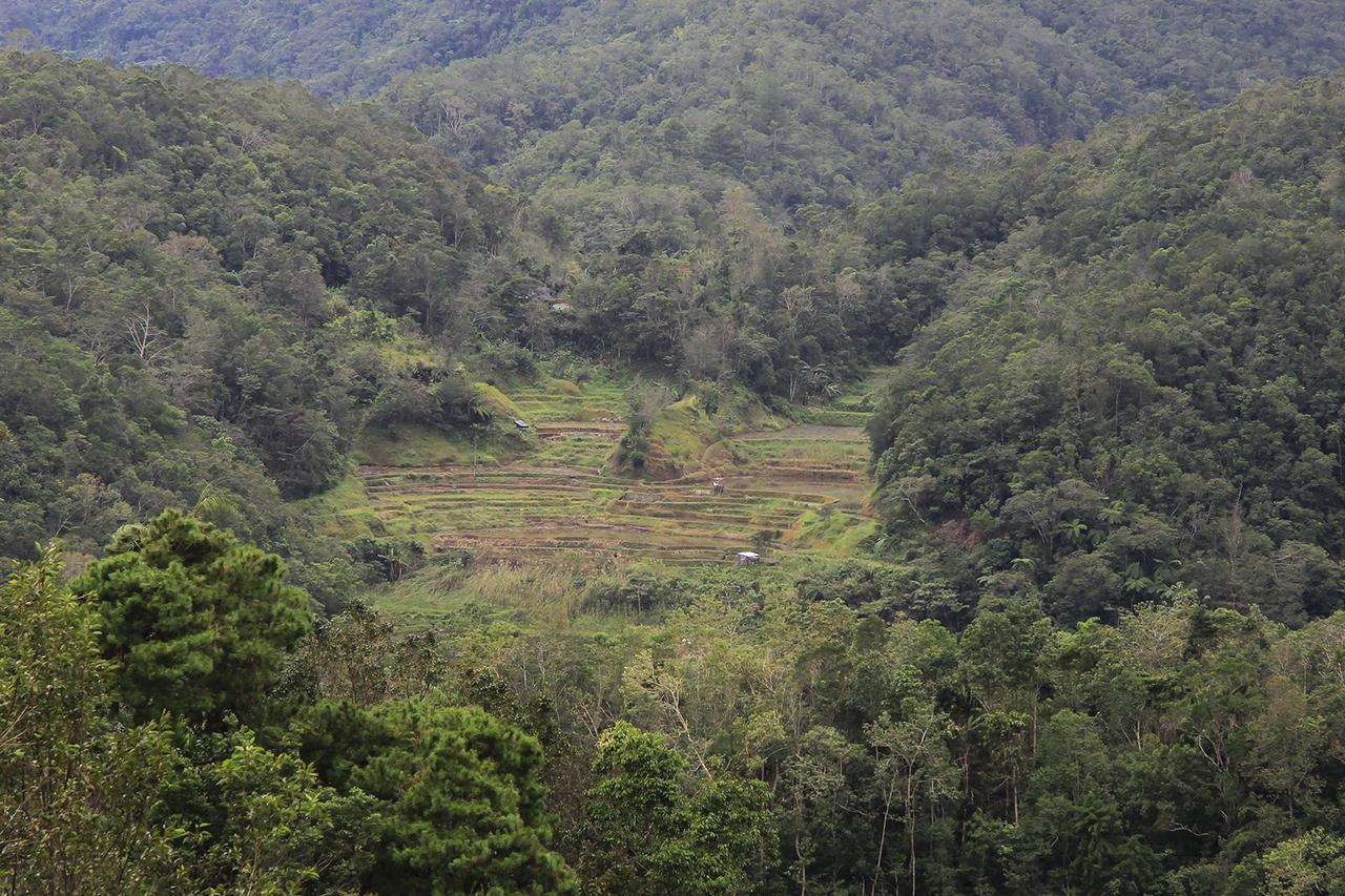 Banaue Evergreen Hostel And Restaurant 외부 사진